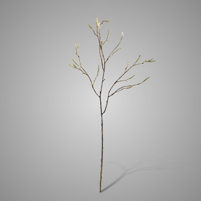 KUNSTBLOEM BETULA FRUCTUS 77 CM - 13 10 20 30 40 41 - 0010539185