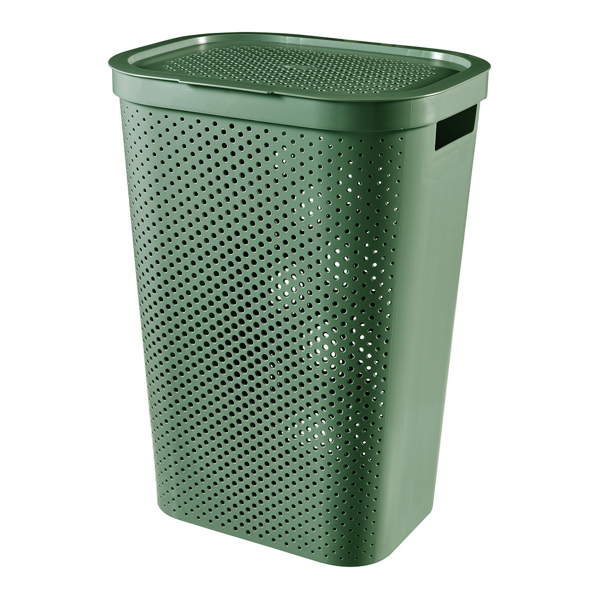 CURVER WASBOX 60 L GROEN DOTS RECYCLED - 3253924754185