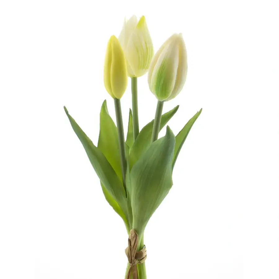 TULP MINI SARHA WIT NET ECHT! - 8 10 20 30 40 50 60 62 - 493121
