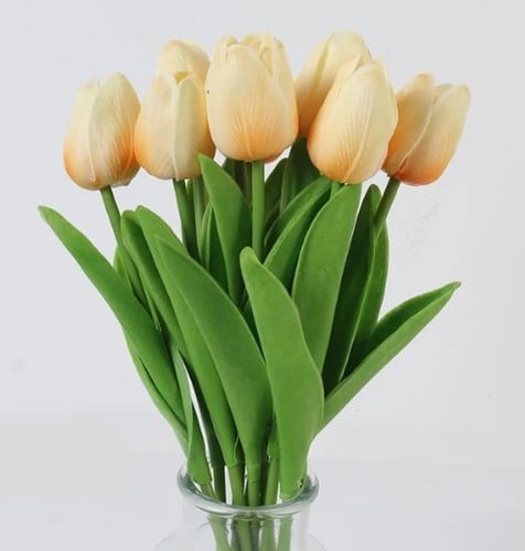 TULP MINI SARAH CHAMPAGNE NET ECHT! - 8 10 20 30 40 50 60 63 - 493697