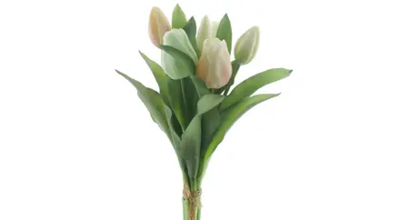 TULP M IX PASTEL NET ECHT! - 8 10 20 30 40 50 60 64 - 318891