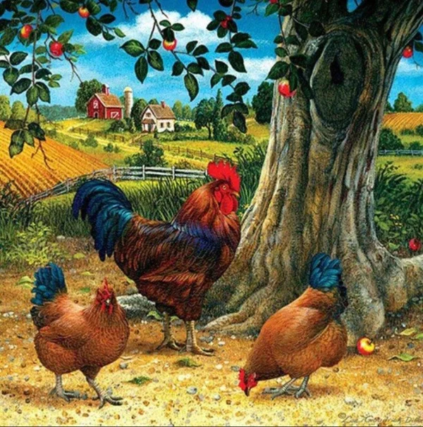 DIAMOND PAINTING KIPPEN 30X40CM - 8 10 20 30 40 50 60 70 80 90 100 110 120 130 140 141 - 0010539433