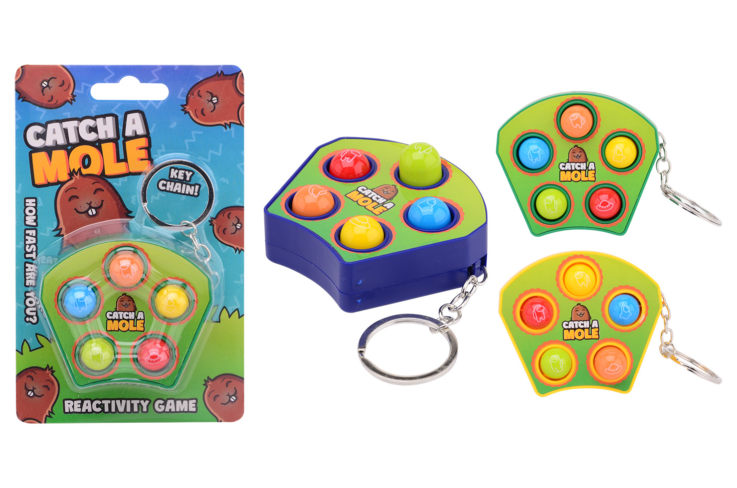 MOLLEN MEP SPEL OP KAART - 8711866245000 - 531987