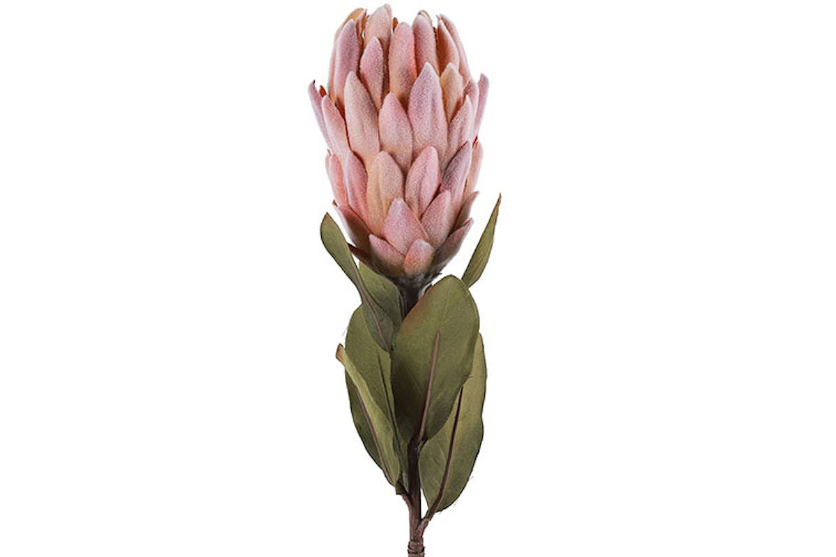 KUNSTBLOEM PROTEA ROZE 61 CM - 8718317895074 - 534847