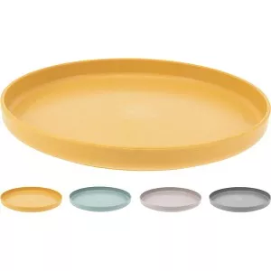 EH BORD 19.5CM VERSCHILLENDE KLEUREN - 9 10 20 30 40 50 60 70 80 90 100 110 120 130 140 150 160 170 180 190 200 210 220 230 240 250 260 270 280 290 300 310 320 321 - 534484